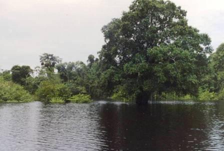 Lago