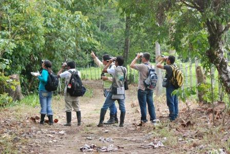 Grupo de observadores de aves