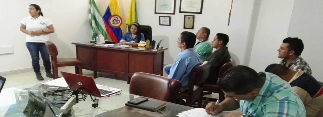 decreto control ruido doncello