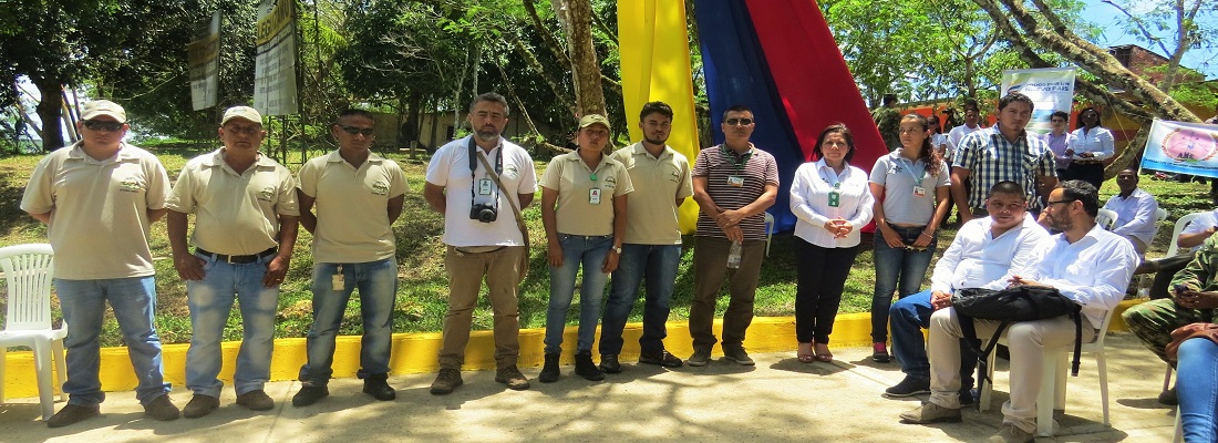 equipo anaconda