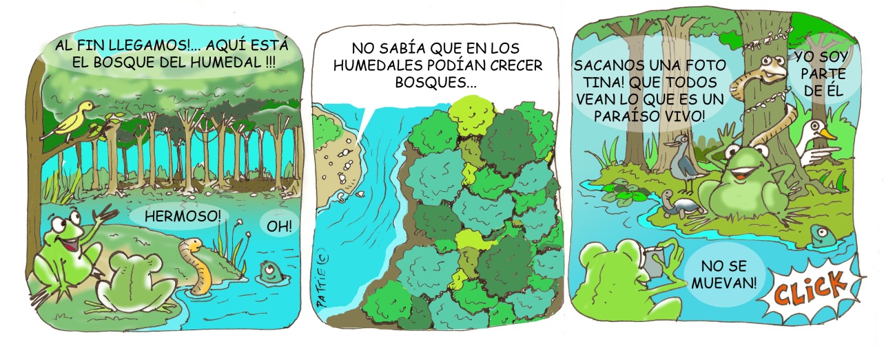 Humedal1 Humedales