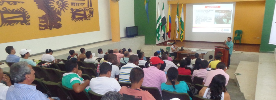 mesa forestal pyo