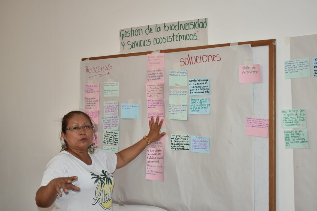 Plan de Acción Amazonas 5