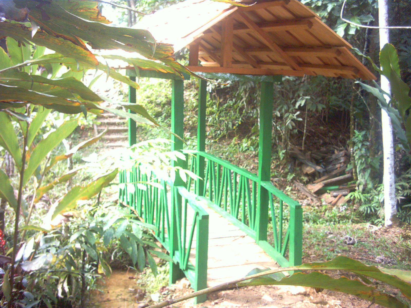 Puente del sendero del Yagé en el CEA